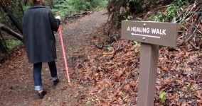 A Healing Walk